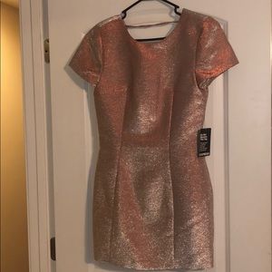 Express Size 8 Sparkly Dress. New!